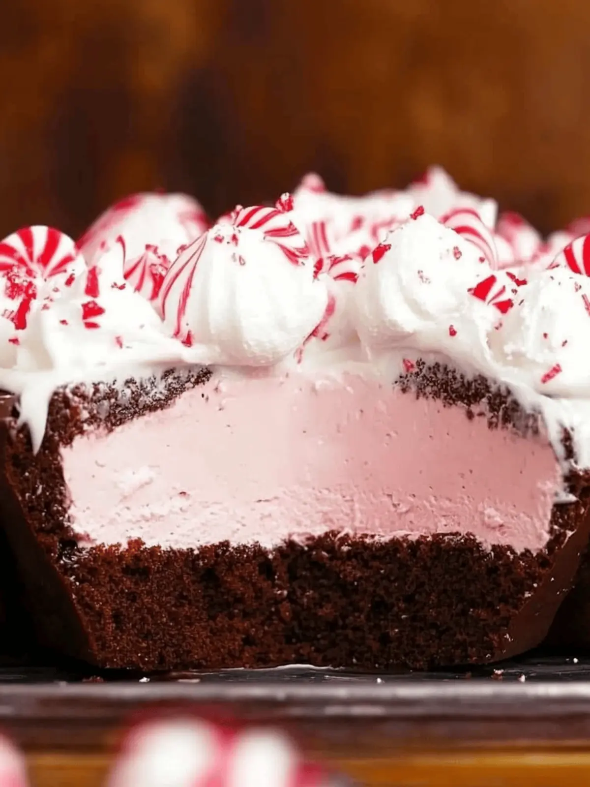 Delicious Peppermint Ice Cream Chocolate Cake for Holidays 3 Peppermint Ice Cream Chocolate Cake